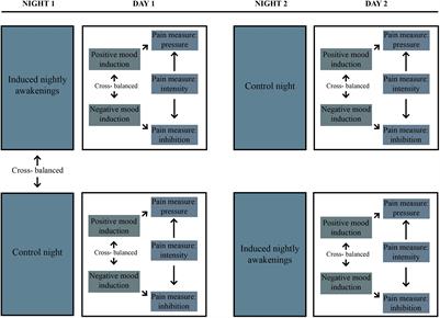 Effects of <mark class="highlighted">Sleep Fragmentation</mark> and Induced Mood on Pain Tolerance and Pain Sensitivity in Young Healthy Adults